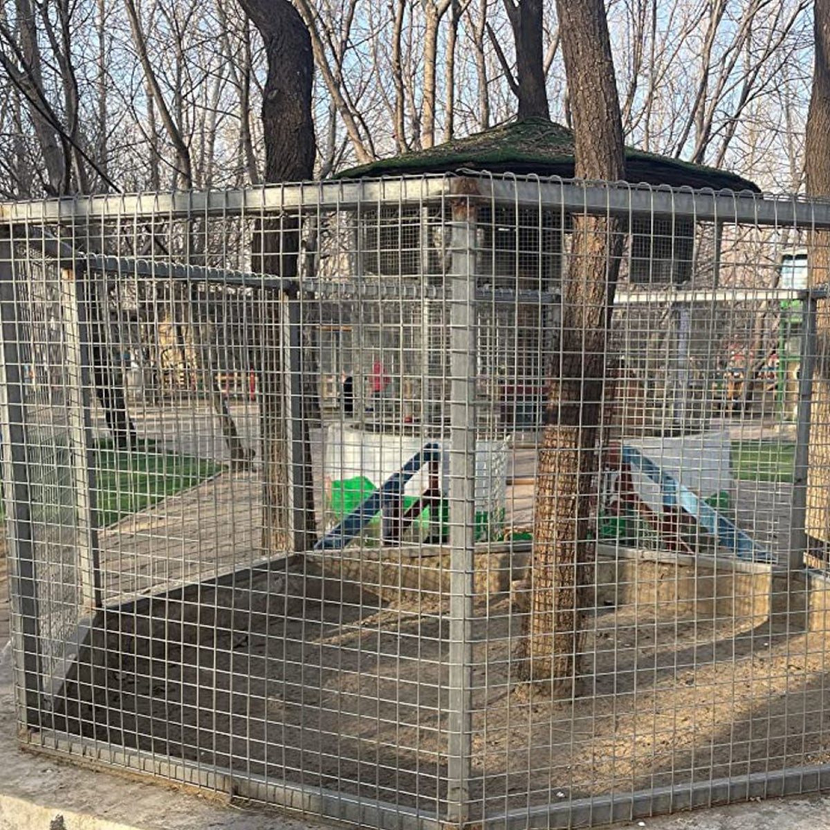 An application scenario or product detail of 1/2 inch hardware cloth for chicken coop - Image 18
