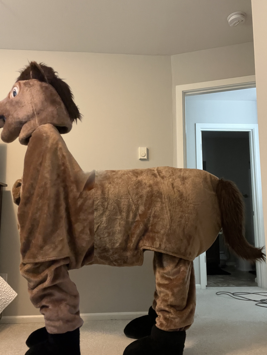 An application scenario or product detail of 2 man horse outfit - Image 9