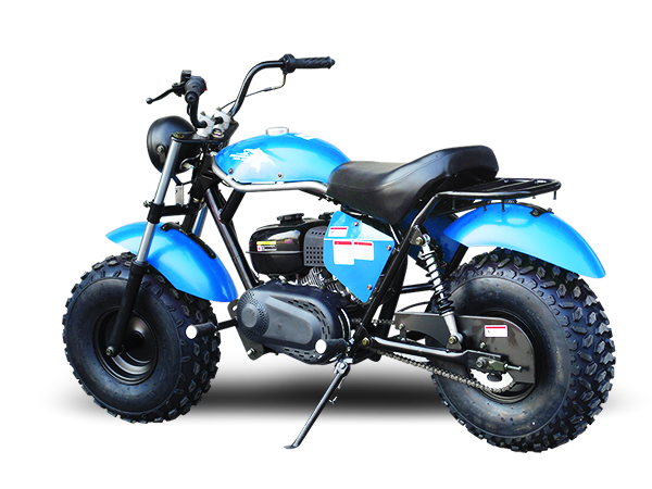 An application scenario or product detail of 200cc mini bike - Image 22