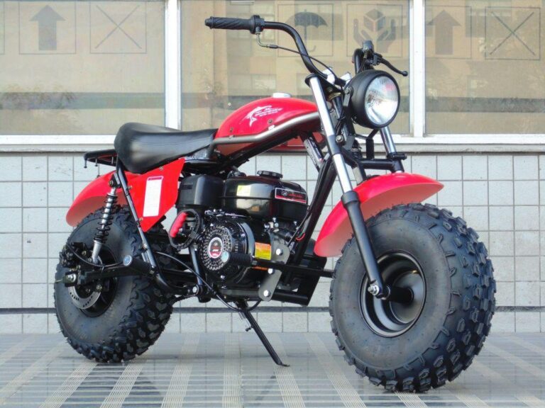 Featured image for the 200cc mini bike guide