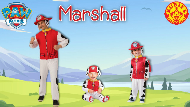 An application scenario or product detail of adult paw patrol costume - Image 14