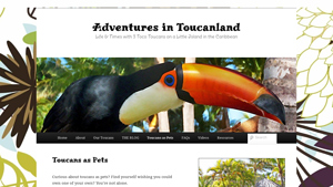 Adventures in Toucan Land - Responsible Care Guide