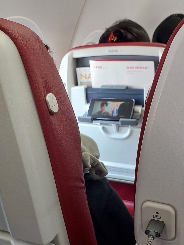 Featured image for the airplane coat hool guide