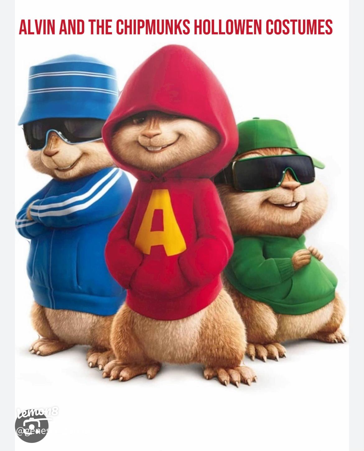 An application scenario or product detail of alvin and the chipmunks costumes - Image 16
