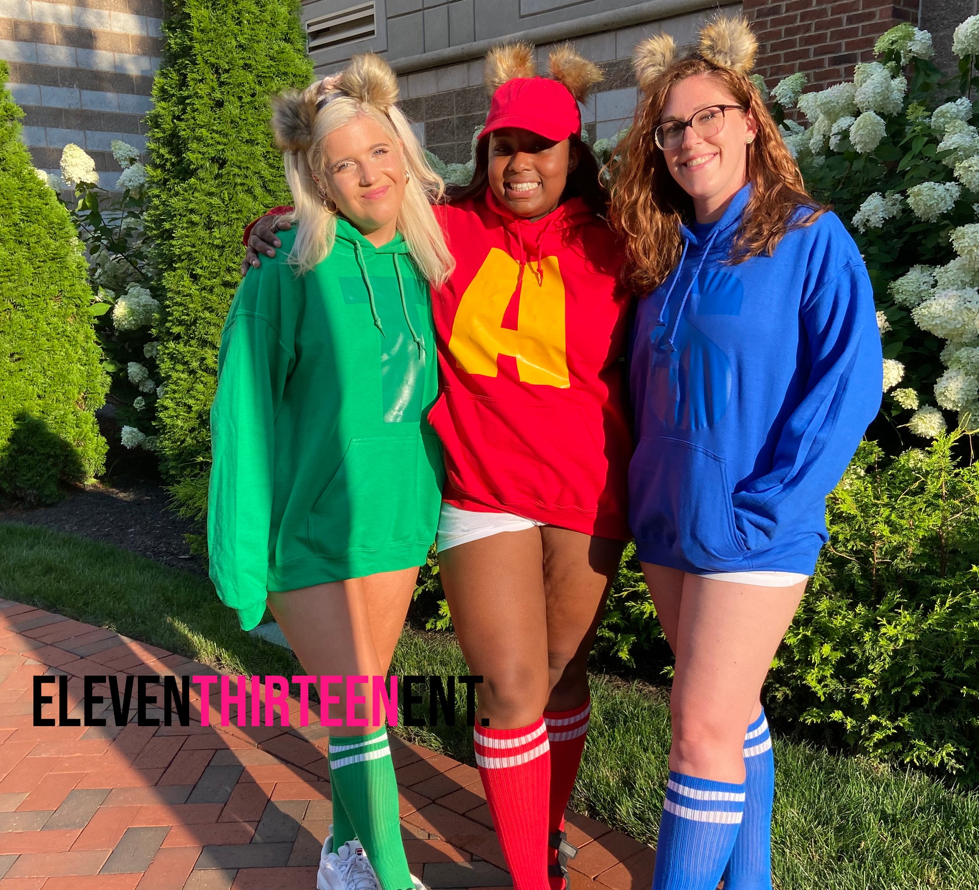 Featured image for the alvin and the chipmunks costumes guide