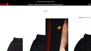Aniqi - Performance Shorts