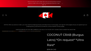 Aquarists Across Canada - Coconut Crab (Burgus Latro)