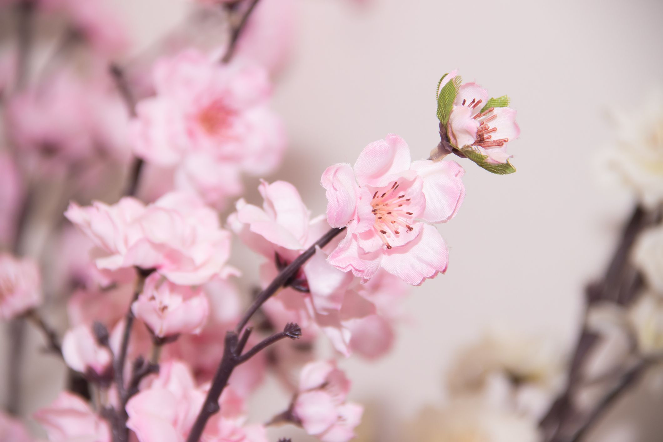 An application scenario or product detail of artificial cherry blossom tree - Image 10