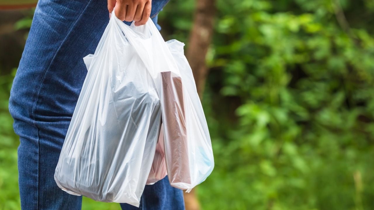 An application scenario or product detail of baggies plastic bags - Image 14