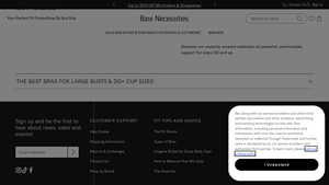 Bare Necessities - DD+ Bras