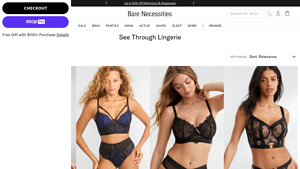 Bare Necessities - See-Through Lingerie Collection