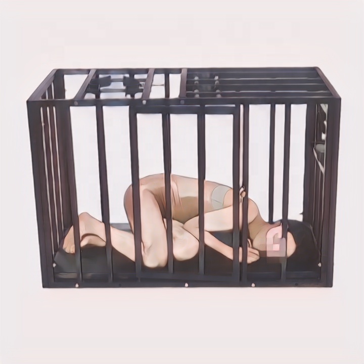 An application scenario or product detail of bdsm cage - Image 8