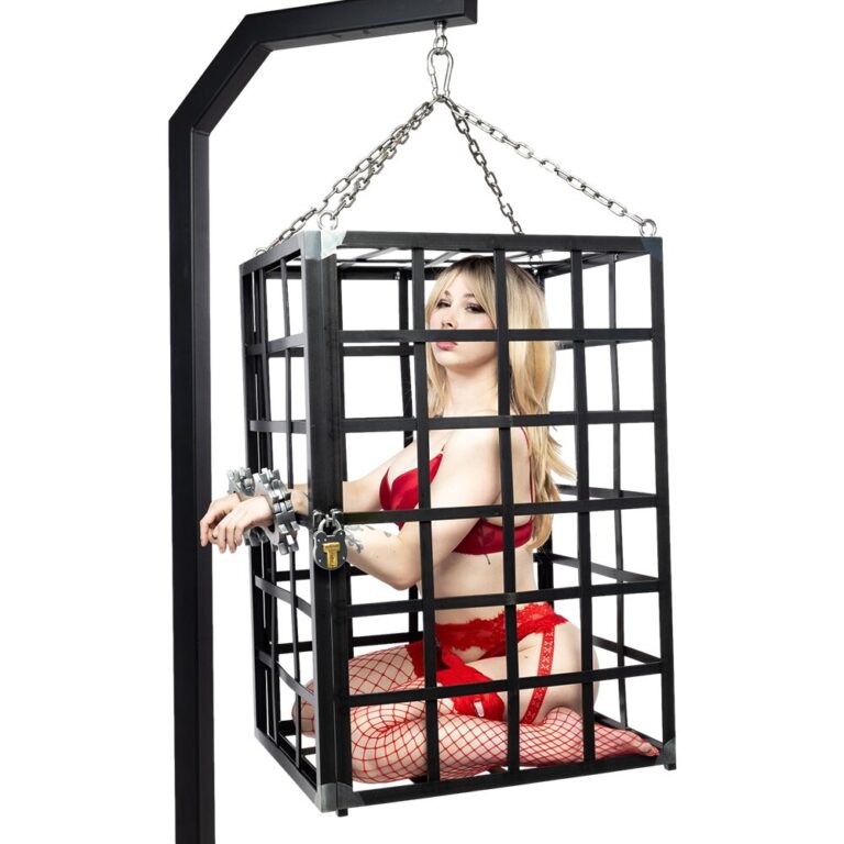 Featured image for the bdsm cage guide