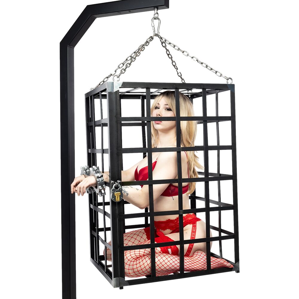 Featured image for the bdsm cage guide
