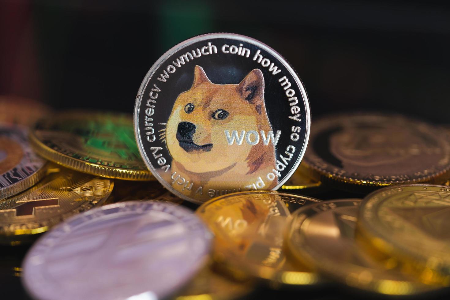 Featured image for ben the dog coin - Dogecoin DOGE group included with all ...