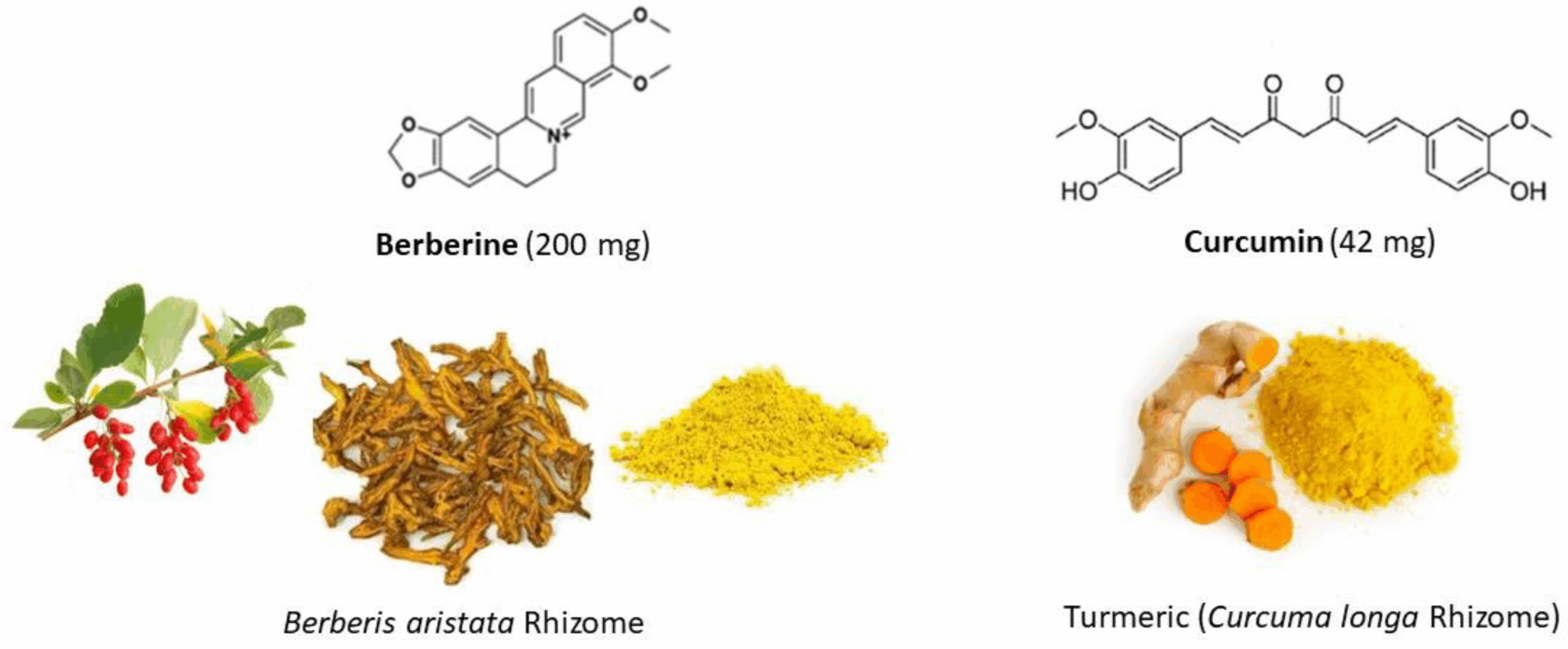 An application scenario or product detail of berberine tea - Image 10