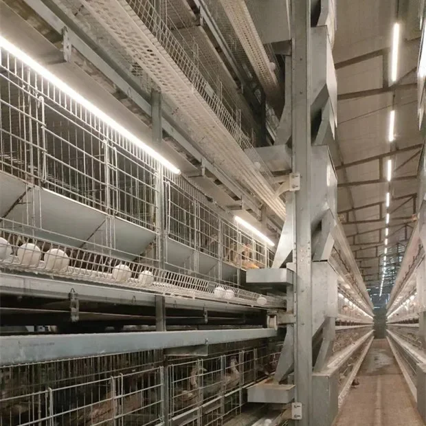 An application scenario or product detail of best chicken cages - Image 1