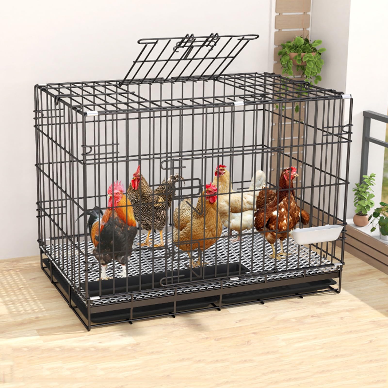 An application scenario or product detail of best chicken cages - Image 8