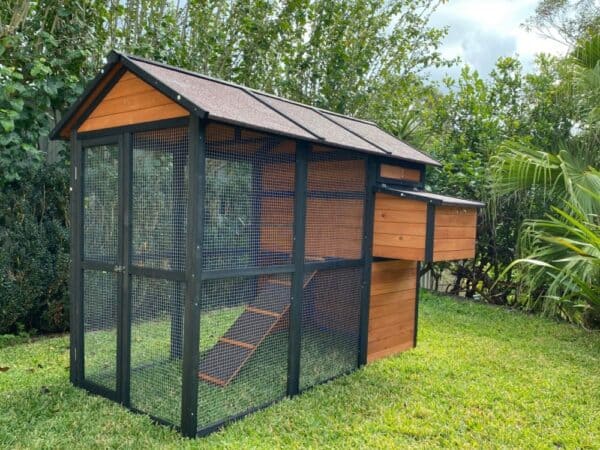 An application scenario or product detail of best chicken cages - Image 12