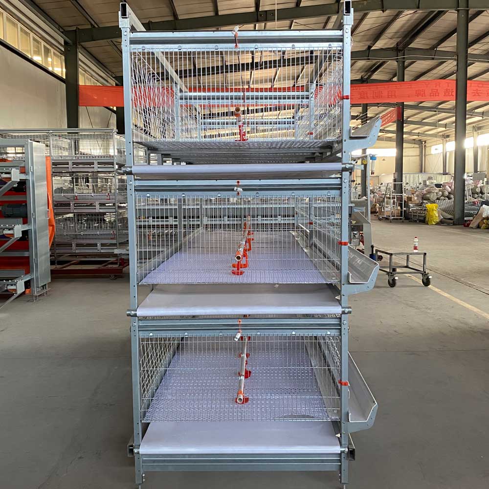 An application scenario or product detail of best chicken cages - Image 17