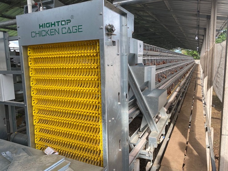 An application scenario or product detail of best chicken cages - Image 21