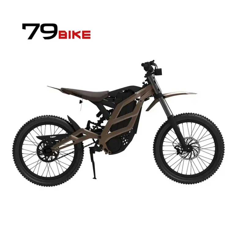 Featured image for the bicycle battery 80 km guide