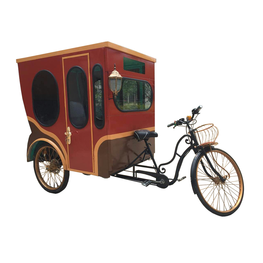 An application scenario or product detail of bicycle rickshaw - Image 21