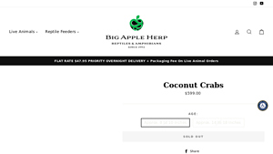 Big Apple Herp - Coconut Crabs