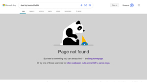 Bing - Copilot Search