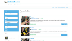 Bird Breeders - Toucans for Sale