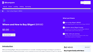 Screenshot of How to Buy Bitgert (BRISE): A Step-by-Step Guide - Bitcompare