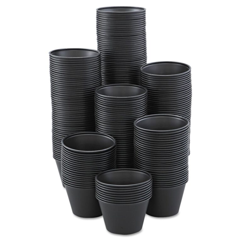Featured image for the black solo cups guide