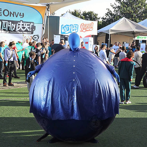An application scenario or product detail of blueberry inflation suit - Image 21