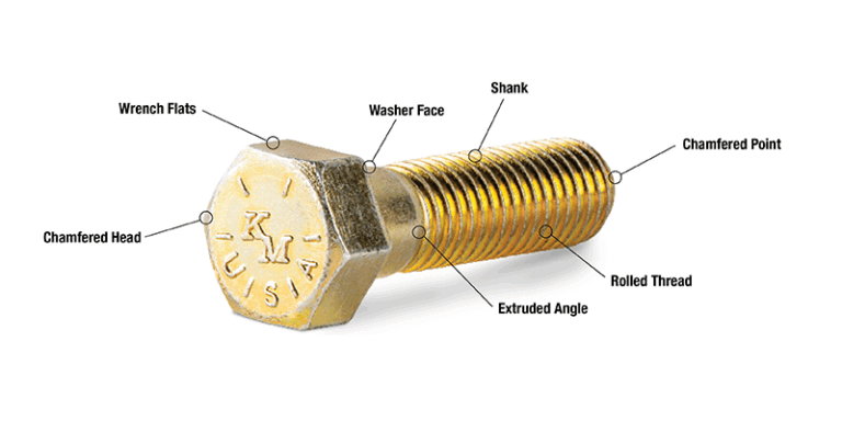 Featured image for the bolt anatomy guide
