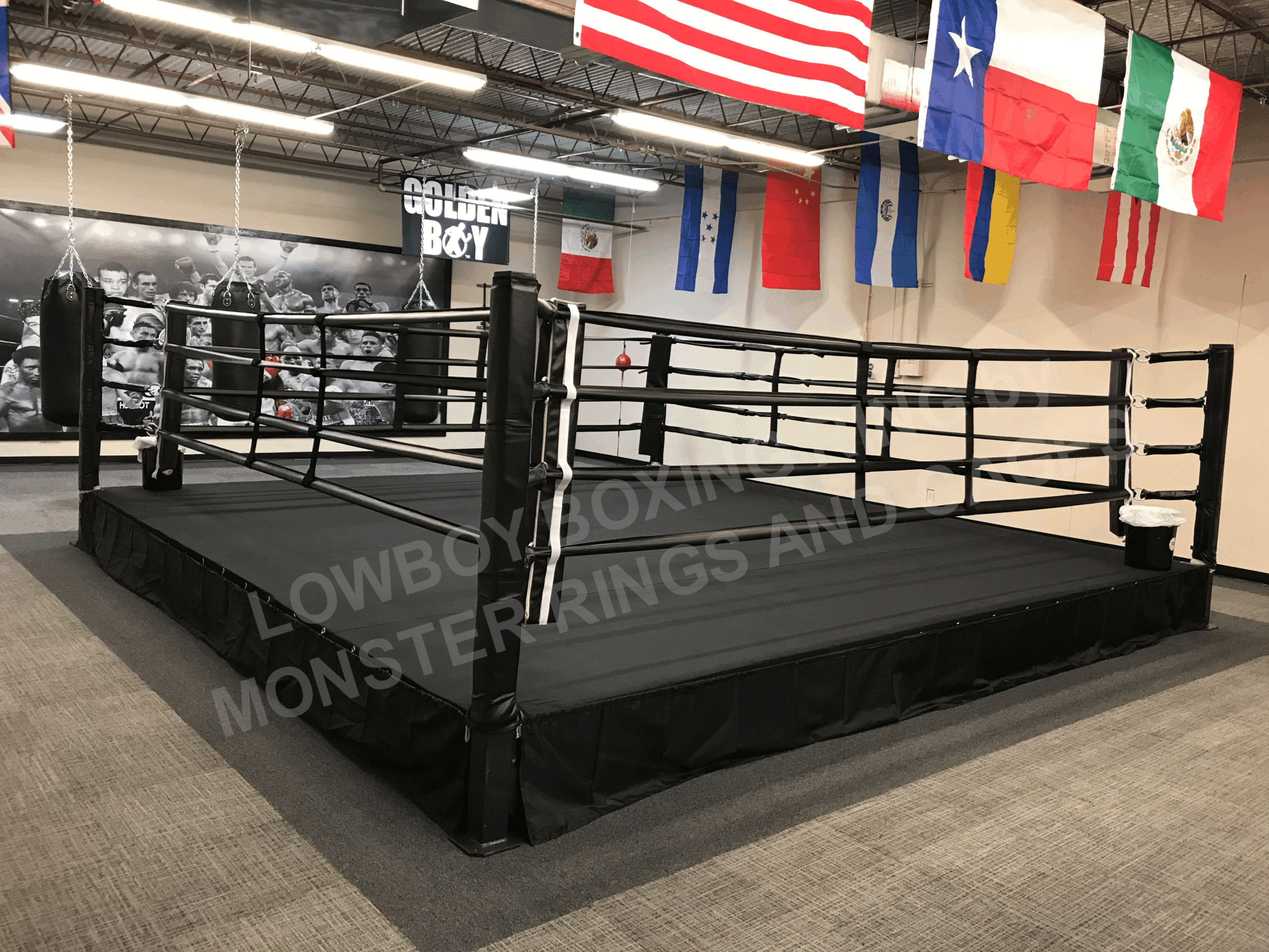 An application scenario or product detail of boxing ring for sale - Image 1