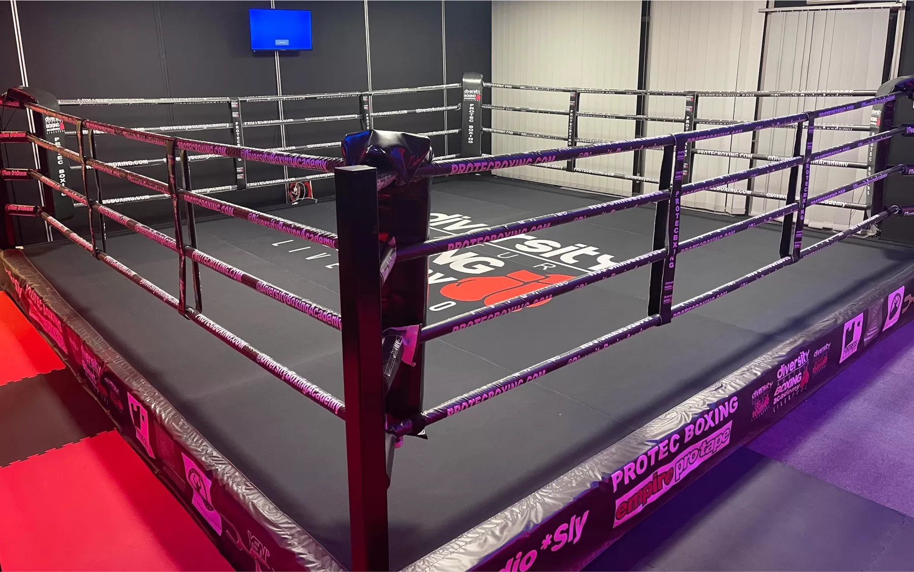 An application scenario or product detail of boxing ring for sale - Image 6