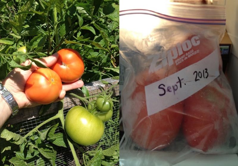 An application scenario or product detail of buy frozen tomatoes - Image 12
