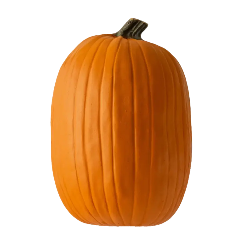 Featured image for the carvable pumpkins guide