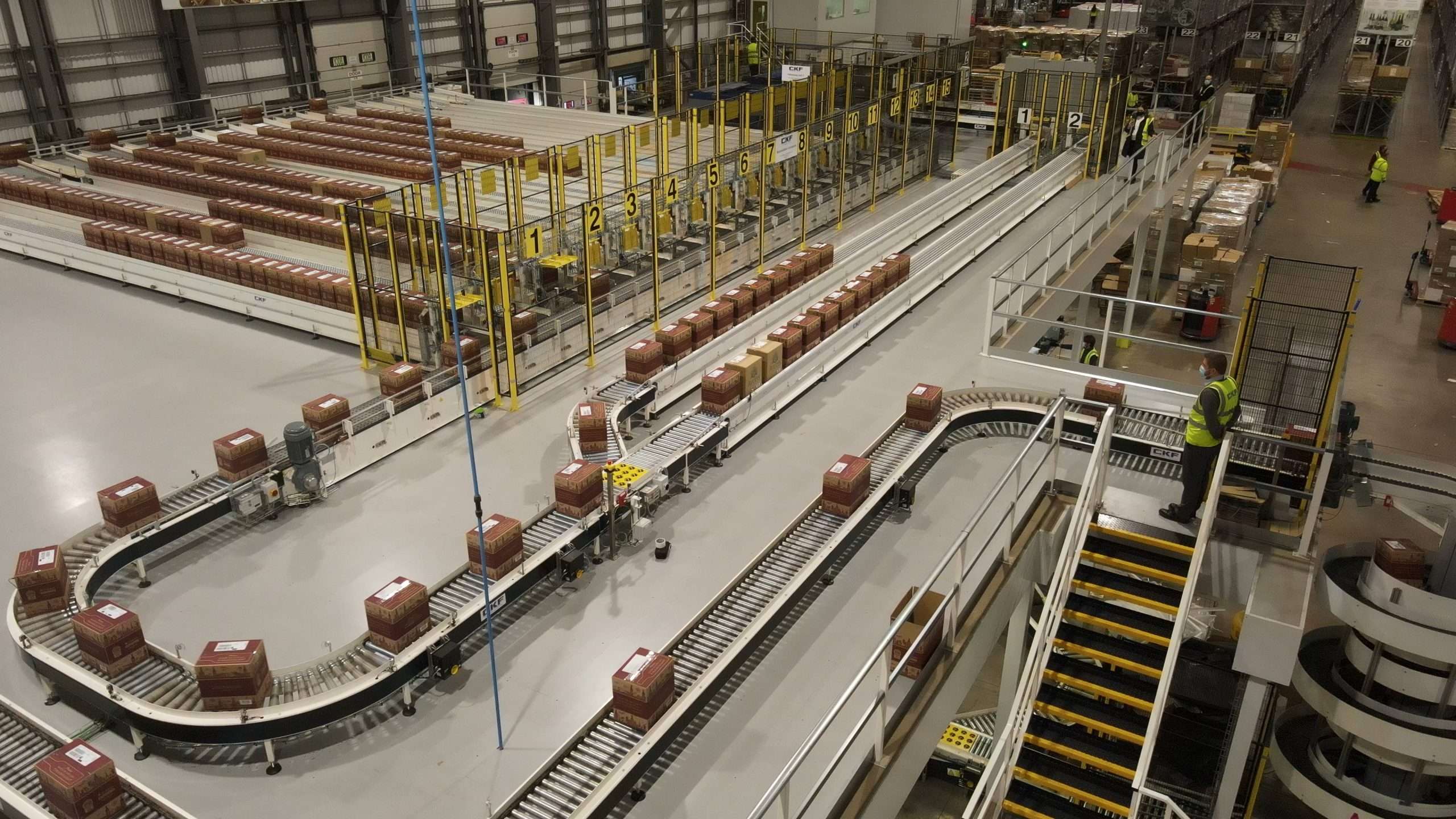 An application scenario or product detail of case conveyors - Image 21
