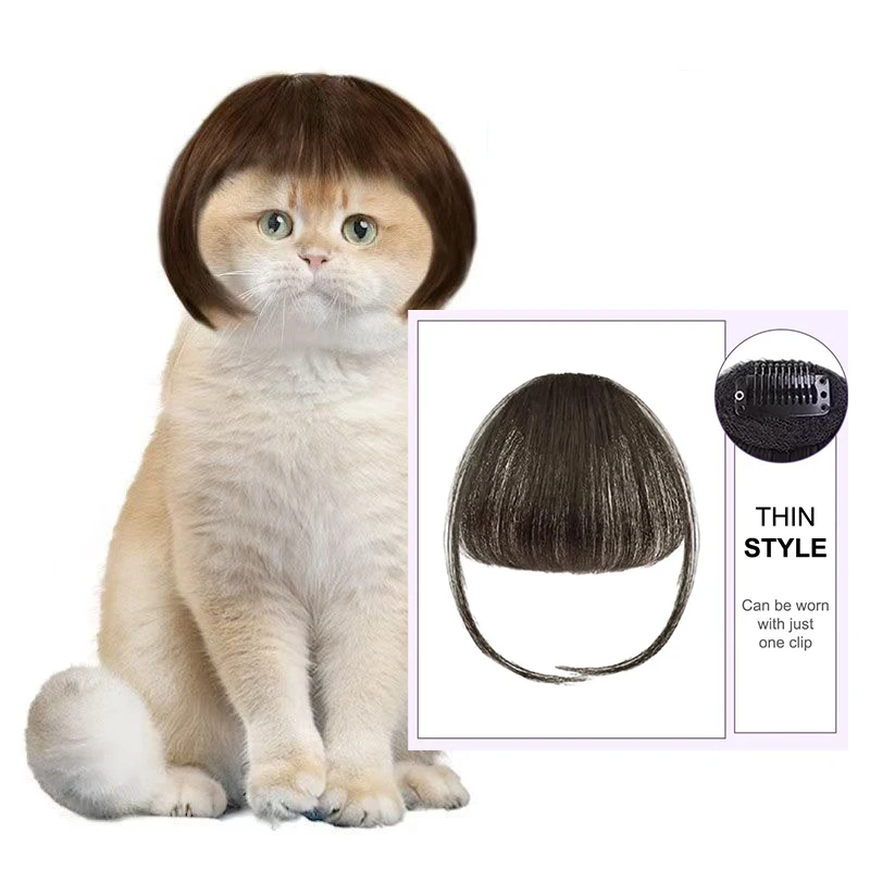 An application scenario or product detail of cat wig - Image 3