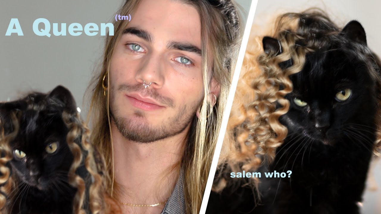 An application scenario or product detail of cat wig - Image 17