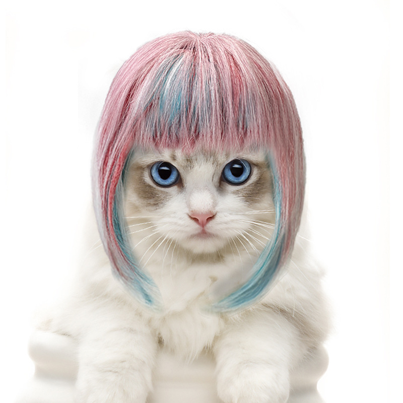 An application scenario or product detail of cat wig - Image 19