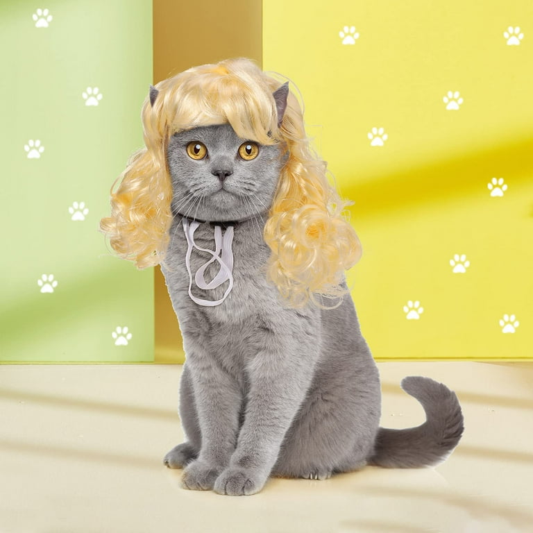 An application scenario or product detail of cat wig - Image 20