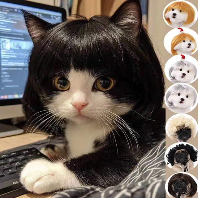 An application scenario or product detail of cat wig - Image 21