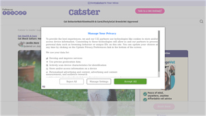 Catster - Cat Shock Collars