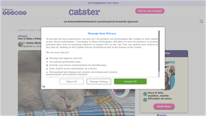 Catster - Essential Kitten Care Products