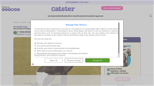 Catster - Benefits of Cat Diapers