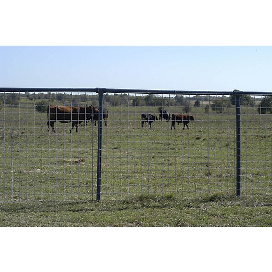 Featured image for the cattle panels tractor supply guide