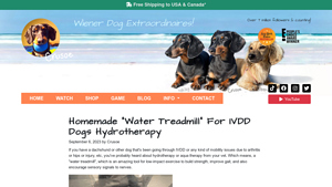 Celebrity Dachshund - DIY Manual Water Treadmill for IVDD Dogs