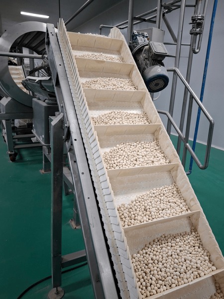 An application scenario or product detail of chain bucket conveyor - Image 14